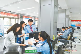 天水市國家稅務局多措并舉積極應對辦稅高峰，優化服務助力企業發展